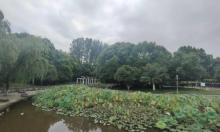 鸡鸣山公园3