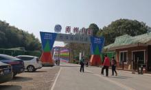 义乌西海龙山1