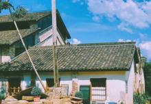 杨盆村1