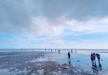奉贤海滩9