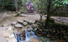 凤阳山自然保护区3