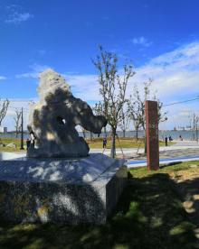 滴水湖壹号码头5