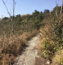 大岳山4