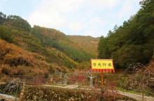 黄岩山景区4