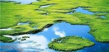 三江湿地3