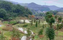 温岭市植物园4