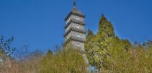 梁妃塔2
