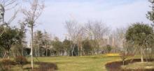 和合公园2