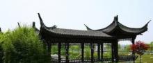洛河公园6
