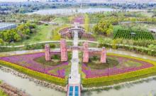 三门农博园12