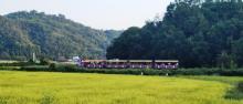 温岭田园牧歌旅游度假区14