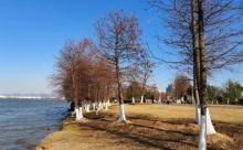漩门湾国家湿地公园-低碳艺术公园2