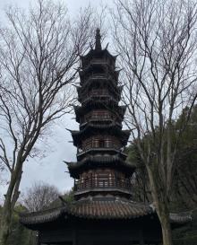 西佘山园22