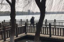 大淀湖2