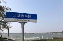 大淀湖3