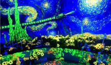 梵高星空艺术馆4