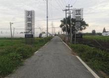 双喜园艺(姚庄横港基地)3