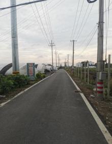 双喜园艺(姚庄横港基地)1