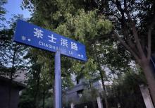 茶士浜4