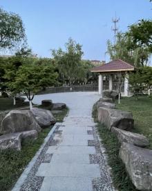 茶士浜6