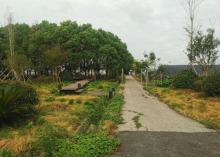 丁栅生态休闲区4