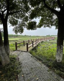 迎宾生态湿地4