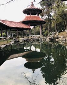 三湾植物园3