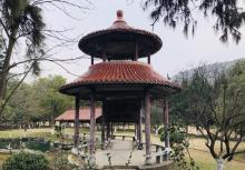 三湾植物园4