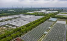 上海菲尼克斯庄园2