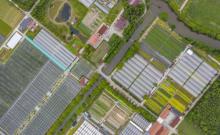 上海菲尼克斯庄园5