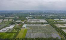 上海菲尼克斯庄园3