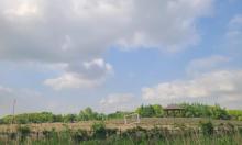 淀山湖花海公园2