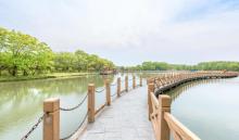 上海雪浪湖生态园8