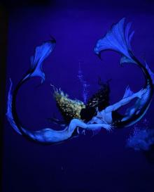 朱家角灵动时刻综合体验大世界6