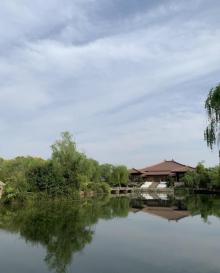 浦江之首16