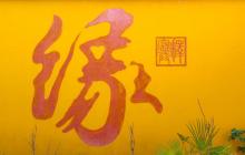 圆津禅院7