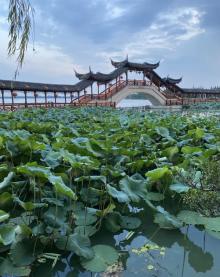 莲池禅院9