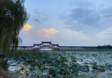 莲池禅院14