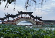 莲池禅院21