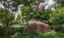 春晓公园2