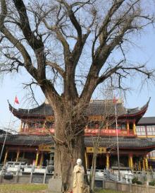 报国寺20