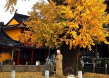 报国寺13
