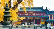 报国寺11