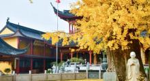 报国寺7