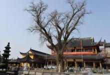 报国寺16