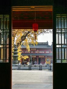 报国寺8