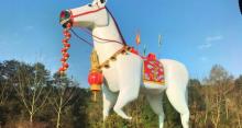 中华舞龙故乡景区20
