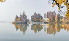 长荡湖湿地公园1