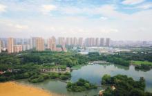 青枫公园29