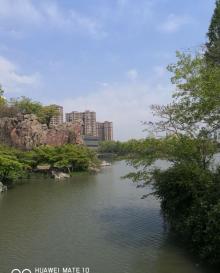 青枫公园18
